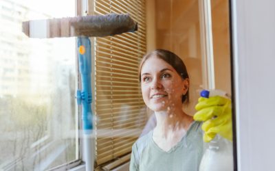 House cleaning and house chores, domestic hygiene House cleaning and house chores, domestic hygiene